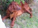 ...m�m to pod kontrolou